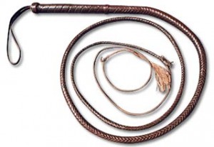 whip_1