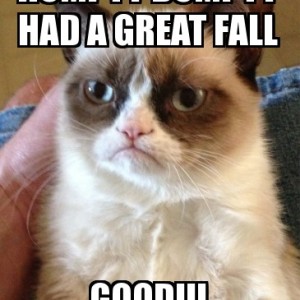 Origin Of Humpty Dumpty cannon