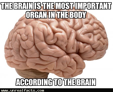 energy consumption of human brain watts