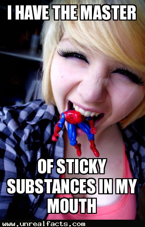 number of spiders eaten in sleep