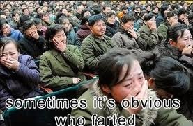 termites fart