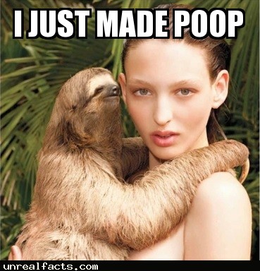 sloths poop once a week