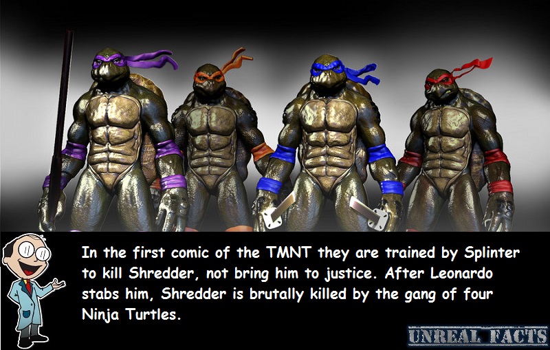 The Teenage Mutant Ninja Turtles Kill Shredder In The First Comic