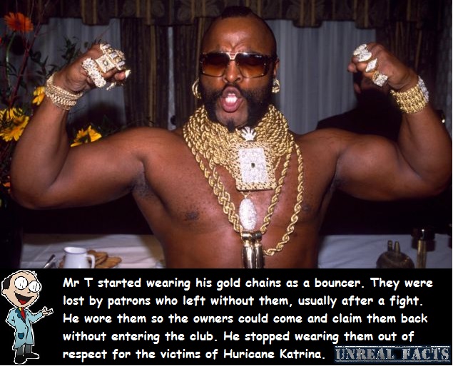the bay gold chains