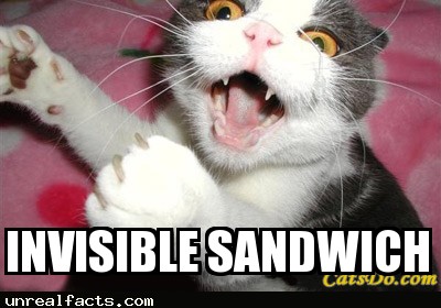 iran ostrich sandwich