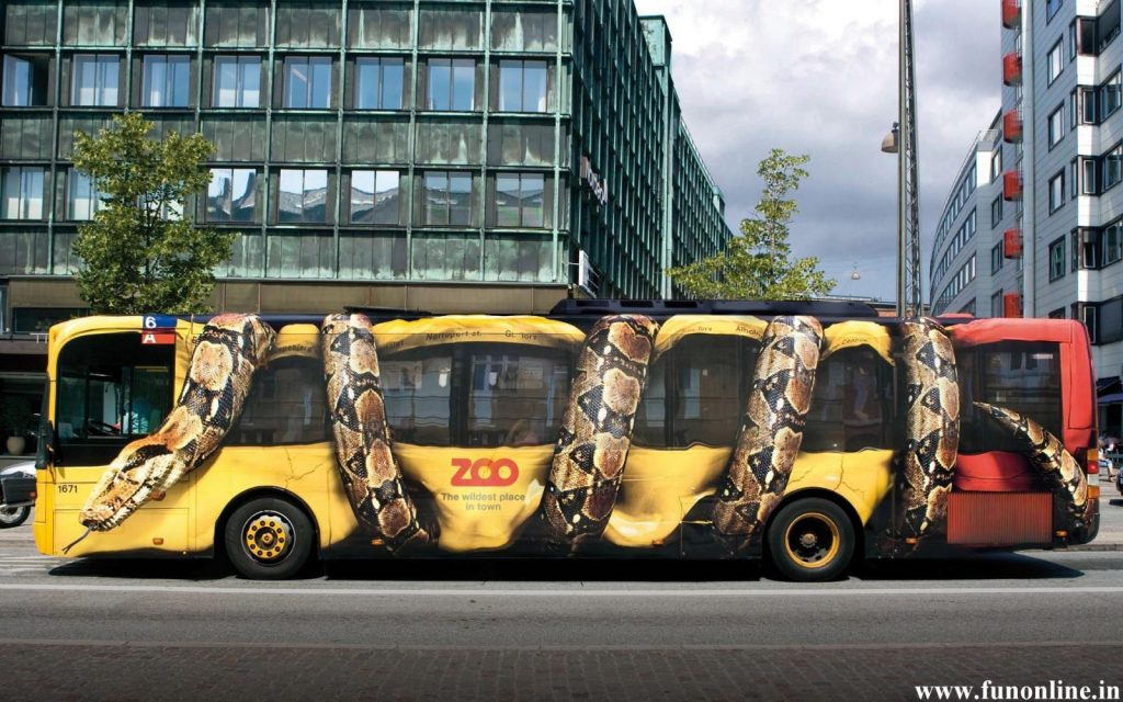 Worlds Largest Snake