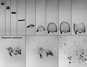 Aviary-Photo_130331374804367532