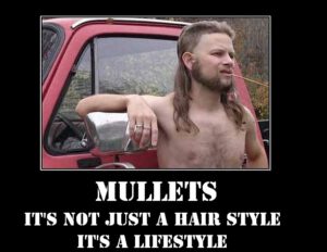 MULLETS