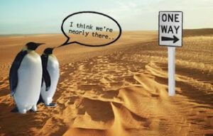 Penguins-in-the-desert-maya