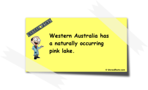 Pink-Lake-Western-Australia
