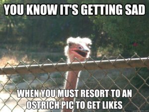 cb16dbf55231e56fa63d1c715c07feaa90634150e276a79eb443072792c0a433