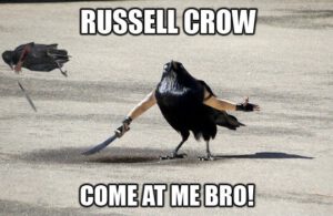 crow
