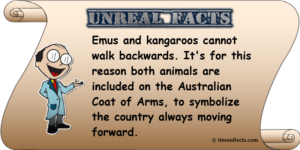 emus-and-kangaroos-cannot-walk-backwards