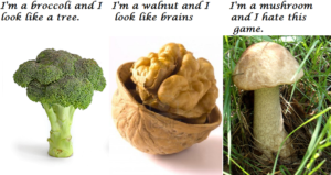 funny-mushrooms