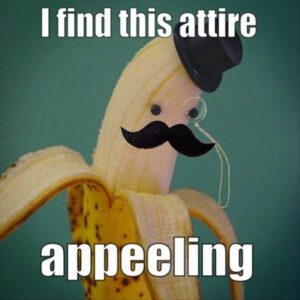 funny-puns-banana