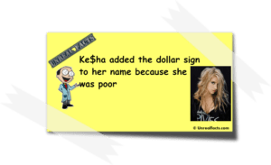 kesha-dollar-sign-story