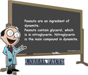 peanuts-dynamite