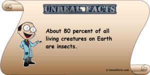 percentage-of-insects-on-earth