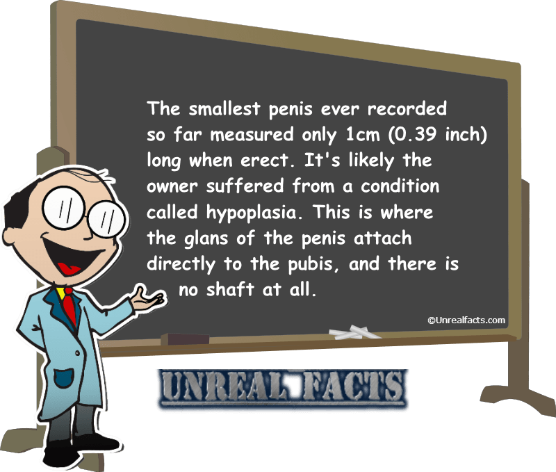 smallest wiener ever recorded