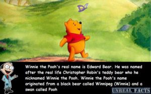 winnie-the-pooh-real-name