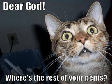 smallest wiener ever